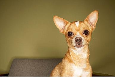 《荒原疗者》9月28号发售 支持简繁体中文